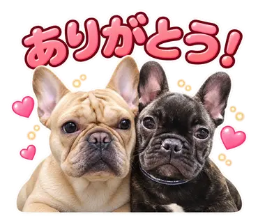 フレンチブルドッグ2匹から作った通常・静止スタンプの制作実例