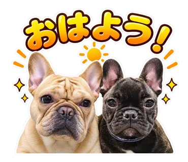 2匹のフレンチブルドッグから制作した通常・静止LINEスタンプ4