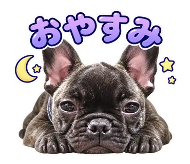 2匹のフレンチブルドッグから制作した通常・静止LINEスタンプ5