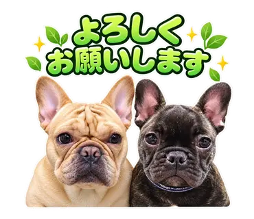 2匹のフレンチブルドッグから制作した通常・静止LINEスタンプ7