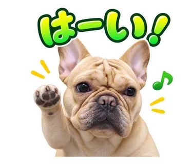 2匹のフレンチブルドッグから制作した通常・静止LINEスタンプ9