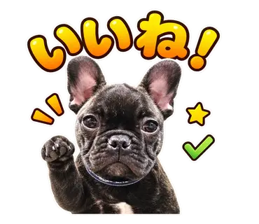 2匹のフレンチブルドッグから制作した通常・静止LINEスタンプ15