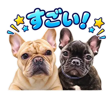 2匹のフレンチブルドッグから制作した通常・静止LINEスタンプ16