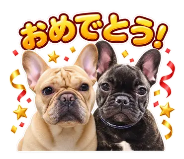 2匹のフレンチブルドッグから制作した通常・静止LINEスタンプ18