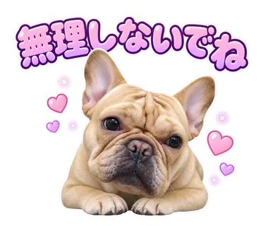 2匹のフレンチブルドッグから制作した通常・静止LINEスタンプ20