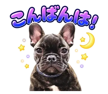 2匹のフレンチブルドッグから制作した通常・静止LINEスタンプ23